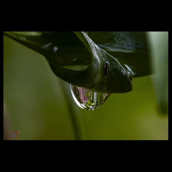 PHOTO84, CLUB, 84 , LUBERON